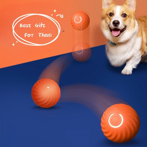 VibePaw PlaySphere: Interactive Joy with our Vibrating Dog Ball! - Four Paws Gear VibePaw PlaySphere: Interactive Joy with our Vibrating Dog Ball! - Four Paws Gear