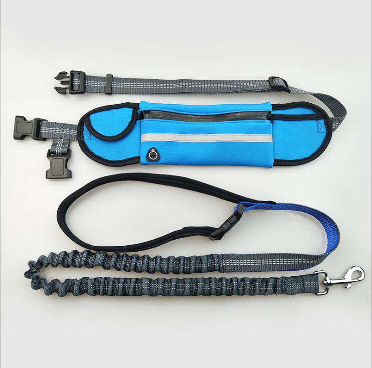 Hands-Free Dog Running Leash - Four Paws Gear