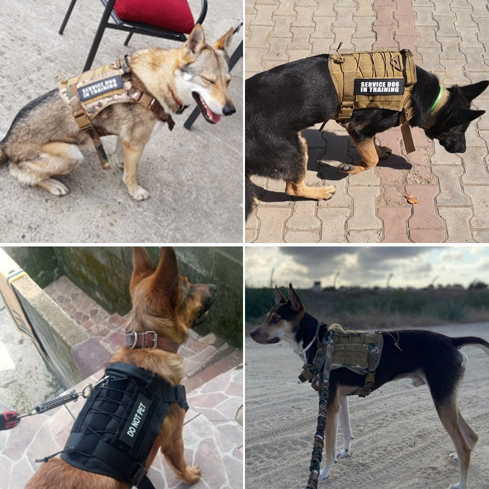 Tactical Dog Harness - Four Paws Gear