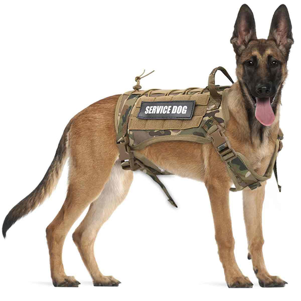 Tactical service 2025 dog harness